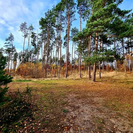 Holiday home We Mgle - *